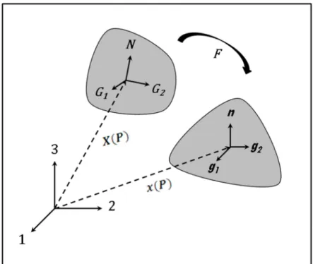 Fig. 4. Schematic of the kinematics and base vectors. 