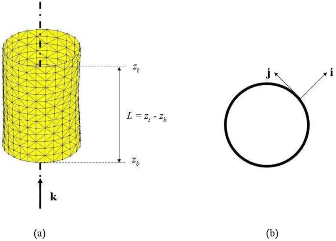 Figure 2: Meshing and schematic of the initial geometry: (a) 3D view (b) cross sectional view.