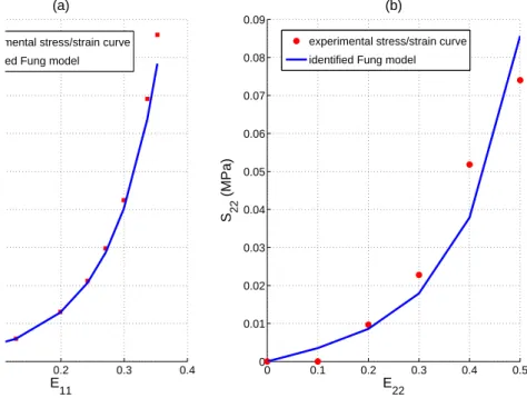 Figure 8: Obtained stress/strain curves: (a) in the circumferential direction and (b) in the axial direction