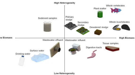 Fig. 3. Qualitative chart of matrices that microplastics and nanoplastics are found in