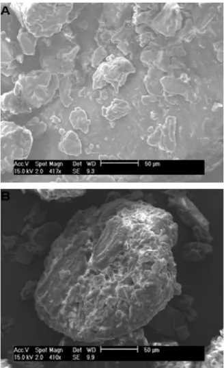 Fig. 3. Scanning electron microscope images of ground coriander seeds (d = 0.5 mm) (A) before supercritical extraction; (B) after supercritical extraction.