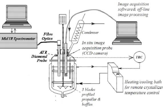 Figure  1:  Experimental  set  up:  temperature  controlled  and  well-mixed  batch  crystallizer  equipped with ATR-FTIR and in situ image acquisition probes