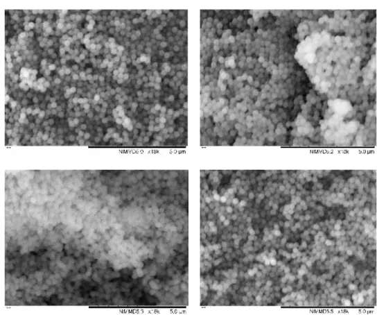 Figure S1. SEM micrographs of SP and SP-SA particles before and after homogenizer processing