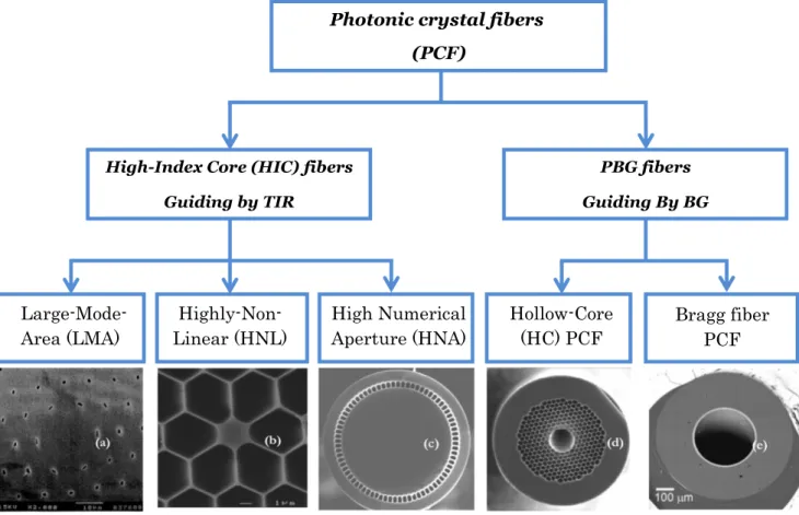 Fig I.8 : Classification of PCF according to their guiding mechanisms . [6]