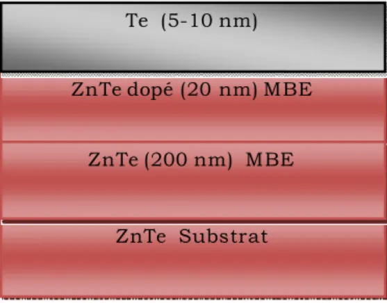Fig. 1. Schéma de l’échantillon de ZnTe  b.  Techniques d’analyse de surface 