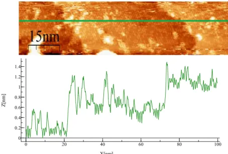 Fig. 3. Image STM (V gap = -3,2V ; I= 2pA) montrant les strates atomiques (en haut) et le  profil des plans (en bas)