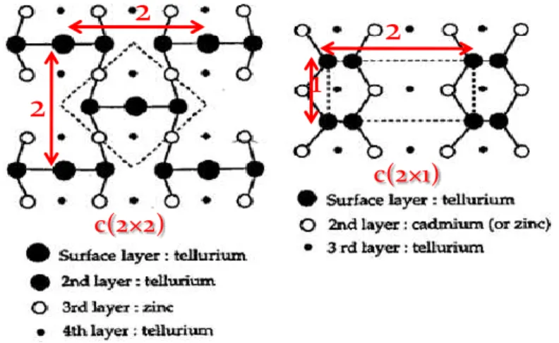 Fig. 6. Modèles atomiques des mailles cristallographiques surfaciques Te (c(2x2)) et  Te(c(2x1)) [16]