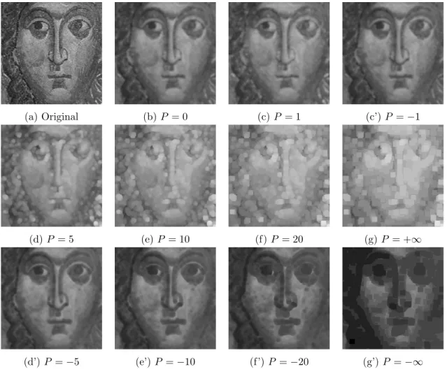Figure 3: Generalised morphological Gaussian convolution (isotropic counter-harmonic dif- dif-fusion) η(f )(x, y; t; P ) at scale t = 5: First row, original image, standard Gaussian ﬁltered image (P = 0) and cases P = 1 and P = − 1; middle row, counter-har