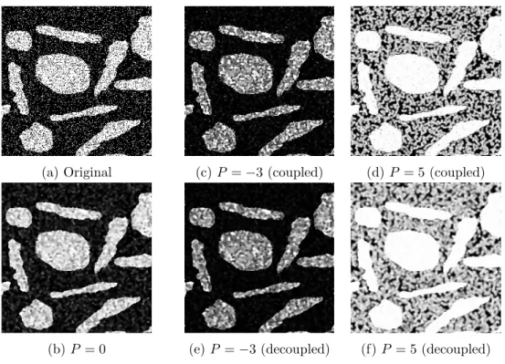 Figure 6: Comparison of decoupled and coupled generalised morphological Perona and Malik diﬀusion ξ(x, y; t; P ) at scale t = 5 (regularization parameter σ = 0.5 ): (a) original image, (b) standard nonlinear diﬀusion, (c)/(d) pseudo-dilation/erosion by cou