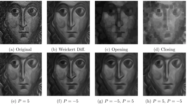 Figure 8: Generalised morphological Weickert diﬀusion χ(x, y; t; P ) at scale t = 10 (with regularization parameters: local scale σ = 1.5, integration scale ρ = 6) : (a) original image, (b) standard anisotropic diﬀusion, (c)-(d) opening and closing of size