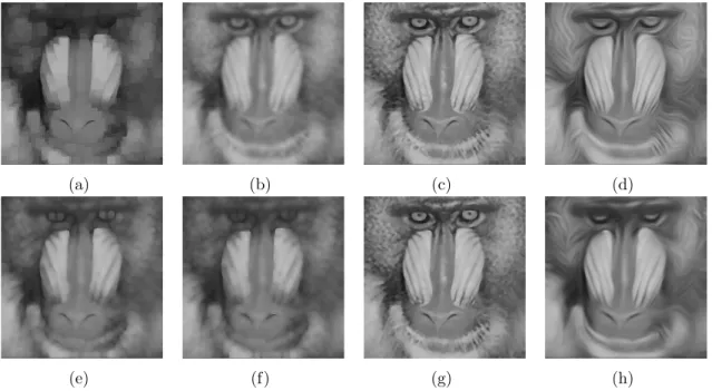 Figure 9: Comparison of standard diﬀusions and pseudo-morphological openings (the original image is given in Fig