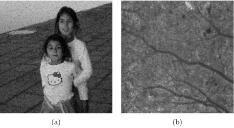 Figure 1: Two image examples presenting asymmetric bright/dark image structures. These images will be studied in Section 7.