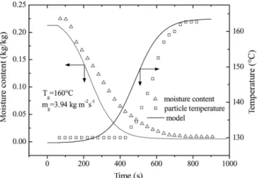 FIG. 3. Effect of particle diameter during superheated steam drying: