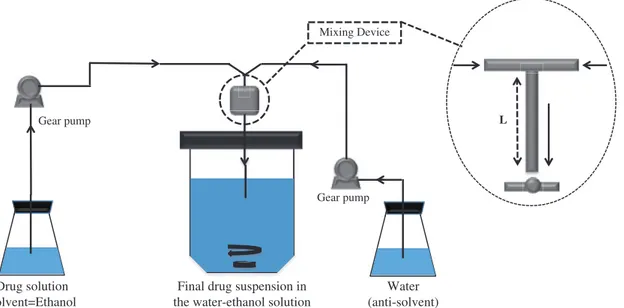Figure 2. Schematic representation of the experimental apparatus used for the LAS crystallization experiments.