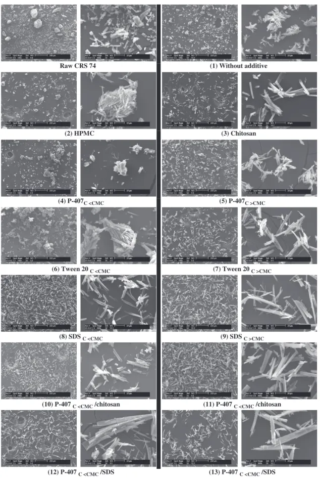 Figure 9. SEM micrographs of raw CRS 74 and drug powders recrystallized in presence/absence of different additives (right 200mm- left 20mm).