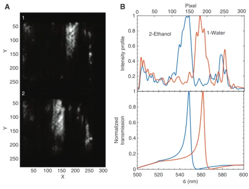 Figure 3: Optical setup and microfluidic chip.