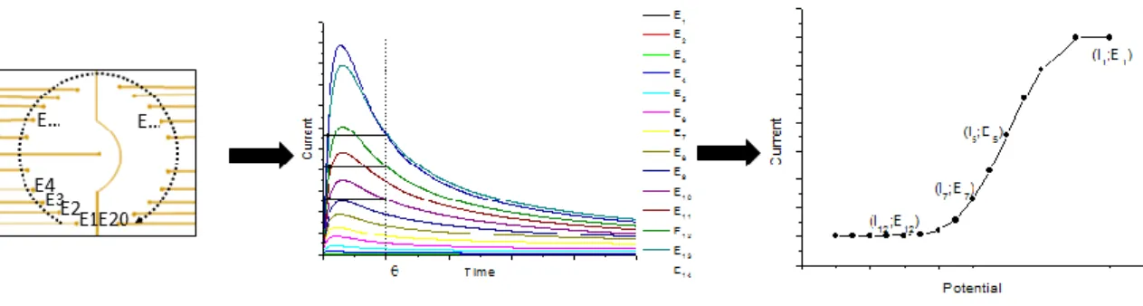 Figure 7. Principe of sampled-current voltammetry on an electrode array (EASCV) 