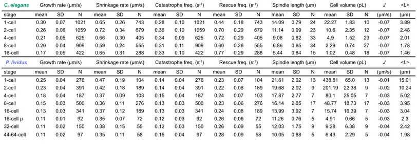 Table S2. Microtubule Dynamics, Spindle and Cell Dimensions  in Caenorhabditis elegans and Paracentrotus lividus.