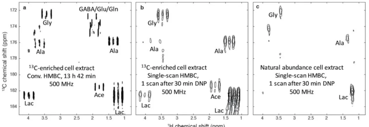 Figure  6:  1 H→ 13 C  HMBC-type  spectra  of  extracts  of  SKBR3  human  breast  cancer  cell  lines