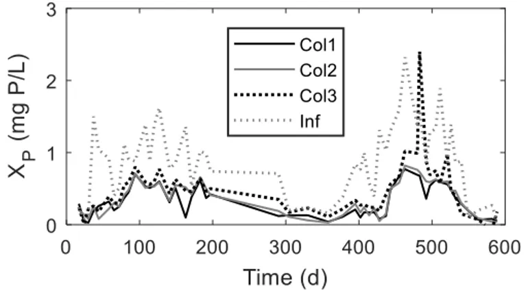 Figure 6: Evolution of particulate phosphorus (X P ) in the column test (experimental data) 