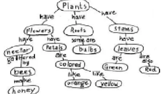 Figure 1- Un exemple de carte conceptuelle, extraite de  (Novak, Gowin, 1984). 