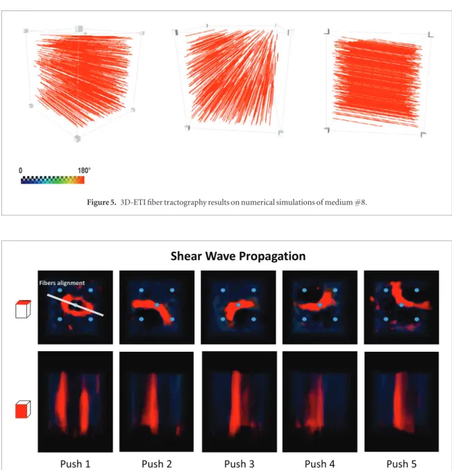 Figure 5. 3D-ETI ﬁber tractography results on numerical simulations of medium #8.