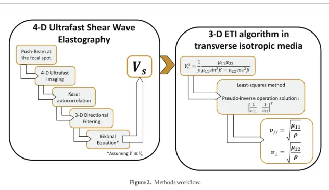 Figure 1. 4D ultrafast shear wave elastography concept using 2D plane-wave transmission