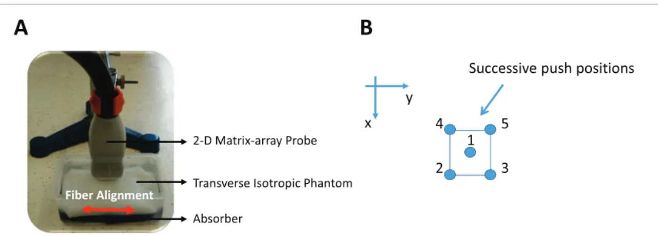 Figure 4 presents the shear velocities estimated from the numerical simulations data.