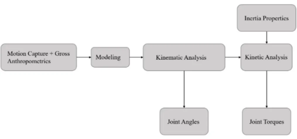Fig. 1. The Flow Chart of the Standard Steps of a Biomechanical Analysis. “Gross Anthropometrics” can mean just the height and the weight of a person, or more specific measurements depending on the project