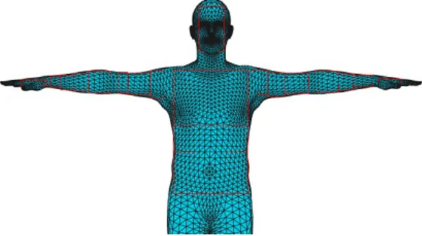 Fig. 4. The bounding boxes on the upper body