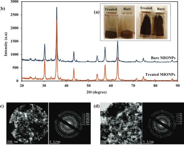 Figure 1.  (a) MIONPs color before and after treatment, (b) X-ray powder diffraction patterns of bare and  treated MIONPs, Selected area electron diffraction pattern (SAED) from bare (c) and treated (d) MIONPs.