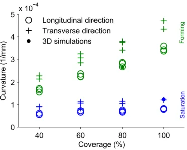 Figure 8: Measured curvatures as a function of coverage along longitudinal and transverse directions on 200 × 50 × 10 mm strips for both saturation and forming treatments.