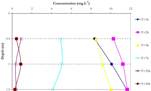 Fig. 6. Evolution over time of xylene concentrations in the water column in cell 2. 