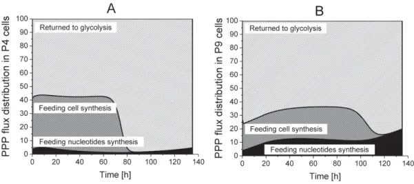 Figure 8. Flux distribution in PPP. (A) P4 cell culture; (B) P9 cell culture. Returned to Glycolysis, Feeding cell synthesis, Feeding nucleotides synthesis.
