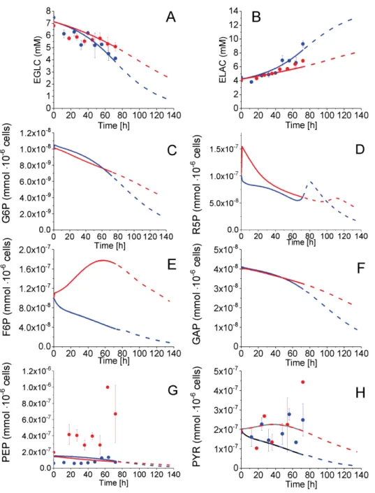 Figure 4. Effect of cell passage on glycolysis and pentose phosphate pathways intermediates concentration