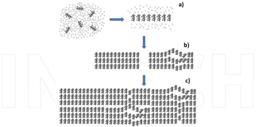 Figure 4. Schematic model of the structural formation of regenerated cellulose in an aqueous environment