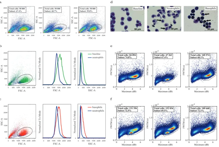 Fig. 4. HL-60 diﬀerentiated into basophils and neutrophils cannot be distinguished by typical FSC-SSC ﬂow cytometry proﬁles