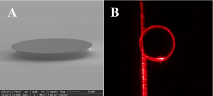 Fig.  1.  (A)  SEM  image  of  an  SU-8  microcavity  (  = 60 µm)  with  a  silicon  pedestal