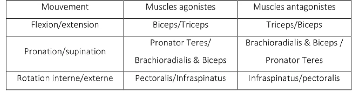 Tableau x. Index de co-activation  4.  Duration of muscle main activation (DMMA) 
