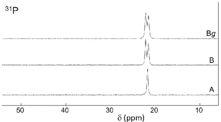 Figure 8.  31 P CPMAS solid state NMR spectra of (PPh 4 ) 2 [Cu 2 I 4 ]-A, B and Bg. 