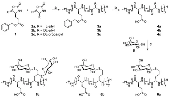 Figure  2.5  Preparation  of  glycopolymer  by  thiol-ene  reaction  of  allyl-containing  poly- poly-peptides with 1-thio-β-D-glucopyranose