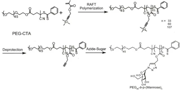 Figure 2.7 Synthesis of block copolymers containing a PEG segment and a glycopolymer  segment via RAFT polymerization and the azide-alkyne cycloaddition reaction