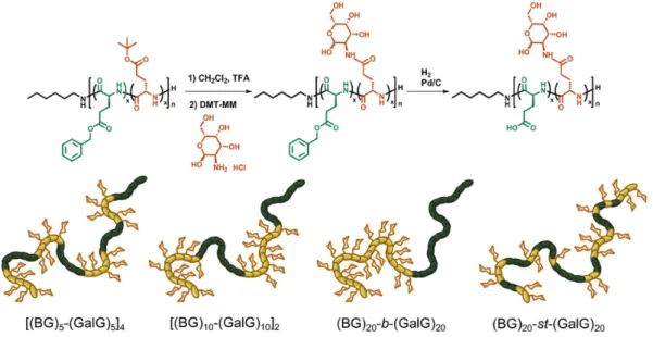 Figure 2.9 Preparation of multi-block glycopolypeptides by a block-sequence-controlled ROP