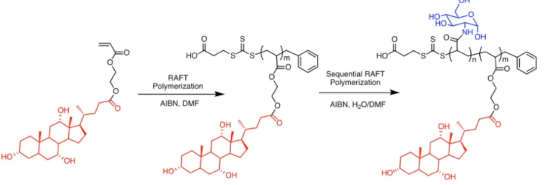 Figure 2.11 Synthesis of block glycopolymer consisting a cholic acid hydrophobic block and  a glucosamine hydrophilic block by RAFT polymerization