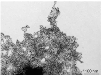 Fig. 1. TEM image of Au-NPs in water 1h after addition of 2.