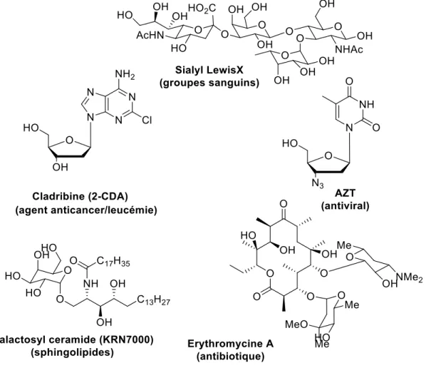 Figure 1. Exemples de glycosides ayant un rôle biologique 