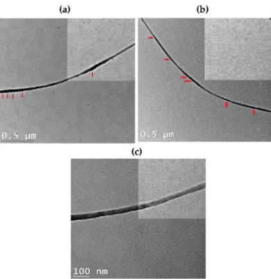Figure 7. (a–c) High-resolution TEM images of PANI/PMMA/Am-rGO nanofibers at different magnification.