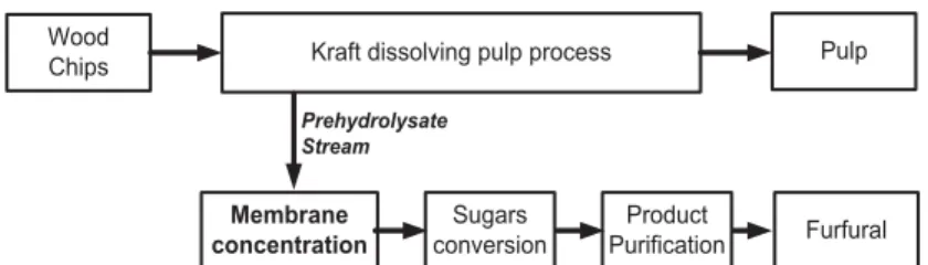 Figure 1. Schematic representation of an Integrated Forest Bioreﬁnery for furfural production.