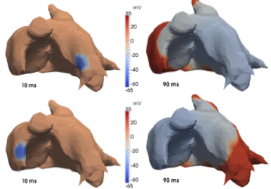 Figure 3. Snapshots of the simulated extracellular poten- poten-tial. The atria is activated in the pulmonary vein (top) and in the right atria (bottom).