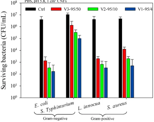 Figure 3 shows the antibacterial activity of electrospun chitosan/PEO (80/20) nanofibers (CNFs) against E